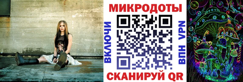 закладки Томилино Псилоцибиновые грибы Cubensis